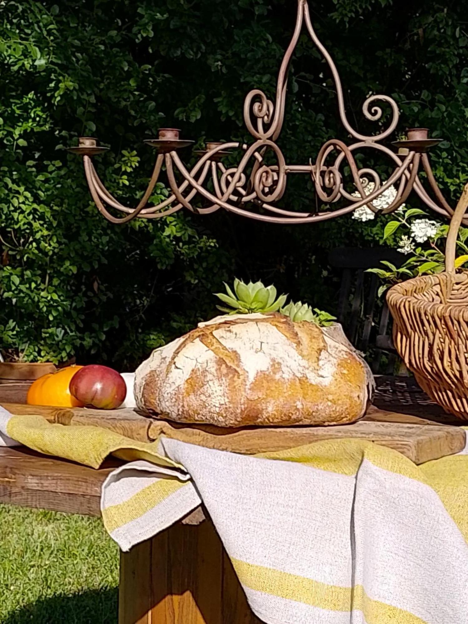 Bed and Breakfast Bastida De Beata Noailles  Exterior foto