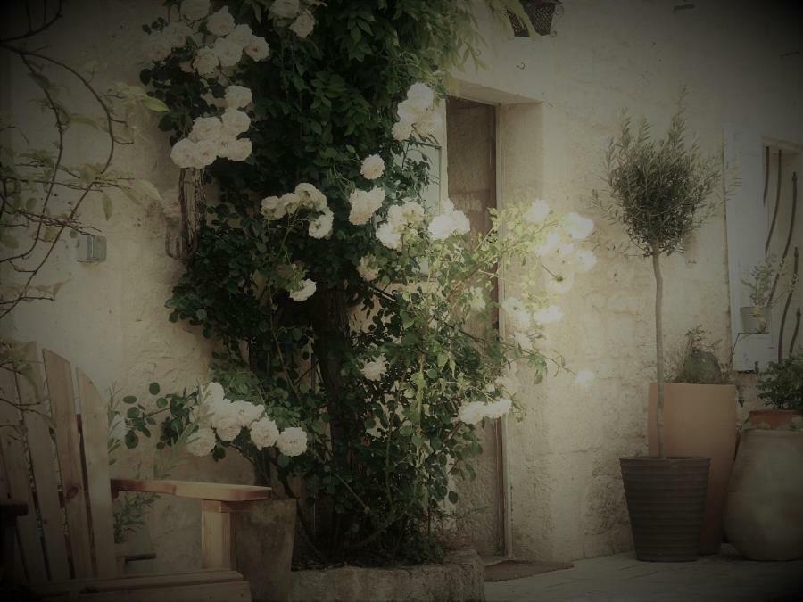 Bed and Breakfast Bastida De Beata Noailles  Exterior foto