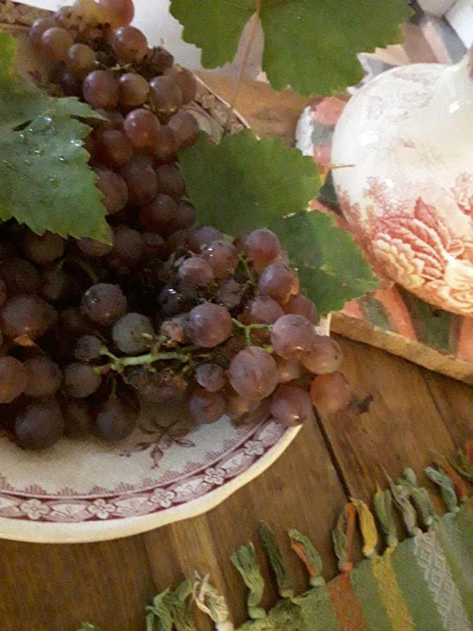 Bed and Breakfast Bastida De Beata Noailles  Exterior foto